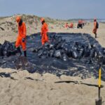 Apoya Pemex labores de limpieza en playas del sur de Veracruz en coordinación con comunidades locales