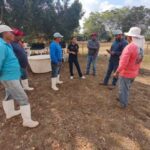 Impulsan desarrollo de granjas de ostión en Aldama y San Fernando