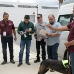 Refuerza Tamaulipas la sanidad pecuaria con binomios caninos especializados