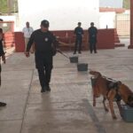 Acerca Guardia Estatal a “Max”, perro especializado, a comunidad escolar