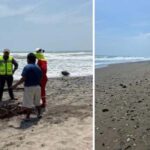 Descarta Pemex condiciones anómalas en el Río Cazones tras recorrido de verificación conjunto