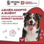 Feria de Adopciones brinda segunda oportunidad a mascotas que buscan hogar