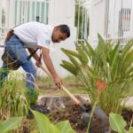 GOBIERNO MUNICIPAL TRANSFORMA ÁREAS VERDES CON JARDINES QUE PROTEGEN ABEJAS Y MARIPOSAS