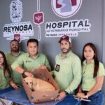 Sonríen a la vida mascotas rescatadas y atendidas por Control y Bienestar Animal del Gobierno de Reynosa