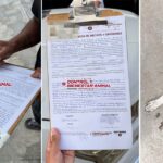 Promueve Carlos Peña Ortiz empatía y cuidado de animales y exhorta a la tenencia responsable