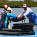 Refuerzan acciones para el crecimiento sostenible del ostión en Aldama