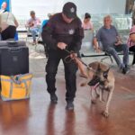 Fortalece Guardia Estatal vigilancia en central de autobuses