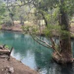 Gómez Farías, refugio natural en Tamaulipas
