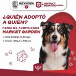 Invita el Presidente Carlos Peña Ortiz a la Feria de Adopciones hoy domingo 24 de mayo