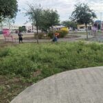 Realiza Gobierno de Reynosa limpieza y mantenimiento de áreas públicas