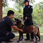 Refuerza SSPT medidas de protección a elementos caninos de la Guardia Estatal ante altas temperaturas