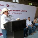 Productores de Soto la Marina acceden a sementales con subsidio estatal