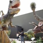 DINOFRONTERA LLEGA A NUEVO LAREDO CON UNA EXPERIENCIA PREHISTÓRICA PARA TODA LA FAMILIA