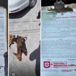 Atendió Control y Bienestar Animal atendió reportes en Las Cumbres y Ernesto Zedillo