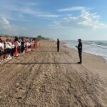 Fortalece Tamaulipas educación ambiental mediante liberación de crías de tortuga lora