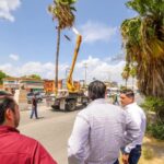 Constató Alcalde Carlos Peña Ortiz limpieza y poda en bulevar del Maestro