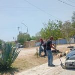 Realiza Gobierno Municipal labores de mantenimiento en plazas públicas