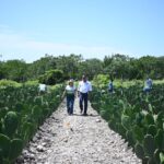 Tamaulipas está en la ruta de exportar más e importar menos: Olga Sosa