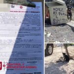 Imparable atención a mascotas de parte del Gobierno de Reynosa