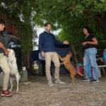 Transforma Reciclatón 2026 el compromiso ciudadano en apoyo para el bienestar animal