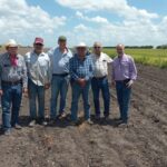 Supervisan avance del cultivo de frijol guar en el norte de Tamaulipas