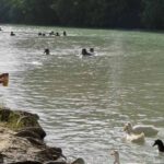 Ofrece Tamaulipas una gran variedad de destinos de naturaleza al visitante: Turismo
