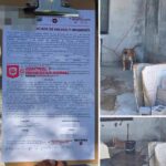 Atiende Gobierno de Carlos Peña Ortiz reporte de animal maltratado en Villas del Roble