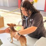 Atendió Gobierno de Carlos Peña Ortiz a mascotas de la Unidos Podemos