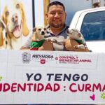 Promueve Gobierno de Carlos Peña Ortiz la identificación responsable de mascotas en Villa Esmeralda