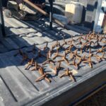 Guardia Estatal asegura ponchallantas en Jiménez