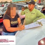Exhorta Gobierno de Reynosa a no dejar mascotas atrapadas en vehículos