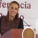 ES HISTÓRICO: PRESIDENTA CLAUDIA SHEINBAUM DESTACA INCREMENTO DE 60% EN CONSULTAS DE ESPECIALIDAD EN EL IMSS, ISSSTE E IMSS BIENESTAR, DE ENERO-JULIO DE 2022 AL MISMO PERIODO DE 2026