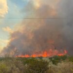 Actualización: cerca de mil hectáreas afectadas por incendio en Jiménez