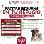 Patitas Seguras va de gira, visitará albergues de animales en Reynosa
