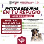 Impulsa Gobierno de Carlos Peña Ortiz atención veterinaria con Patitas Seguras en tu Refugio