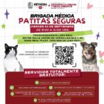 Acercará Gobierno de Carlos Peña Ortiz esterilizaciones gratuitas a Loma Real