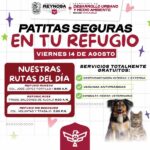 Visitará brigada veterinaria “Patitas Seguras en tu Refugio” a tres recintos