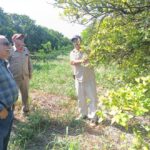 Bioinsumos abren camino a la recuperación de huertas citrícolas en Güémez