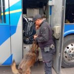Binomios K9 de la Guardia Estatal refuerzan seguridad en Central de Autobuses de Victoria