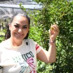 La Agricultura es esencial para el desarrollo del país; Olga Sosa reconoce a agricultores mexicanos