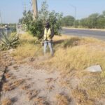 Realizó Servicios Públicos de Reynosa labores integrales en distintos sectores de la ciudad
