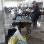 Binomios K-9 de la Guardia Estatal refuerzan la seguridad en Central de Autobuses de Ciudad Victoria