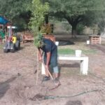 Refrendan adolescentes su compromiso con el medio ambiente como parte de su reinserción social
