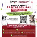 Realiza Gobierno de Carlos Peña Ortiz Brigada Médica Patitas Seguras en Los Fresnos