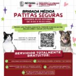 Invita Control y Bienestar Animal a brigada médica en Palmas Diamante