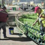 Rehabilitó Servicios Públicos barandales de área verde en bulevar Morelos con Álvaro Obregón