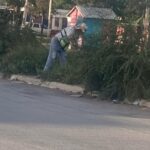 Realiza Servicios Públicos trabajo de limpieza en camellón de Riveras del Carmen