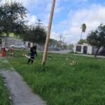Realiza Servicios Públicos Municipales limpieza de área verde en la colonia Tamaulipas